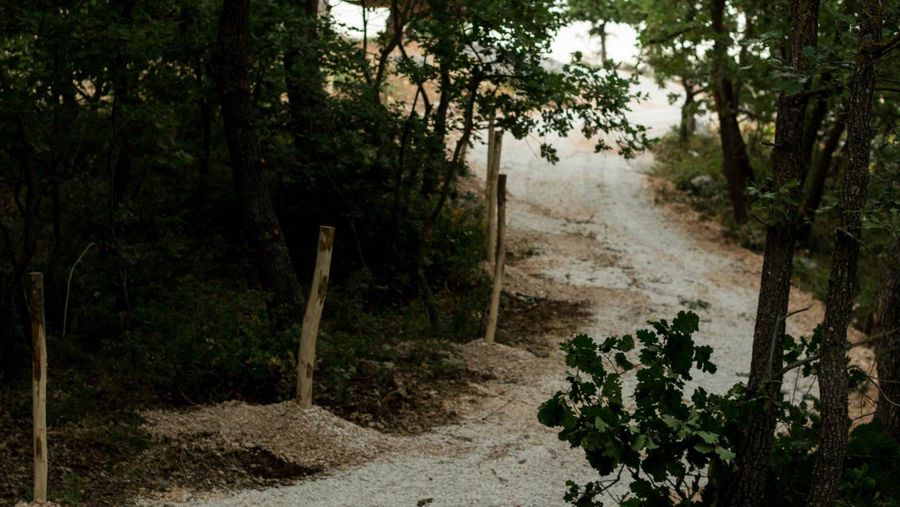 Boscosauro –area ciclopedonale per bambini