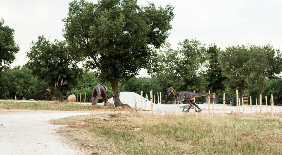 Scoprire i dinosauri - Boscosauro in Puglia