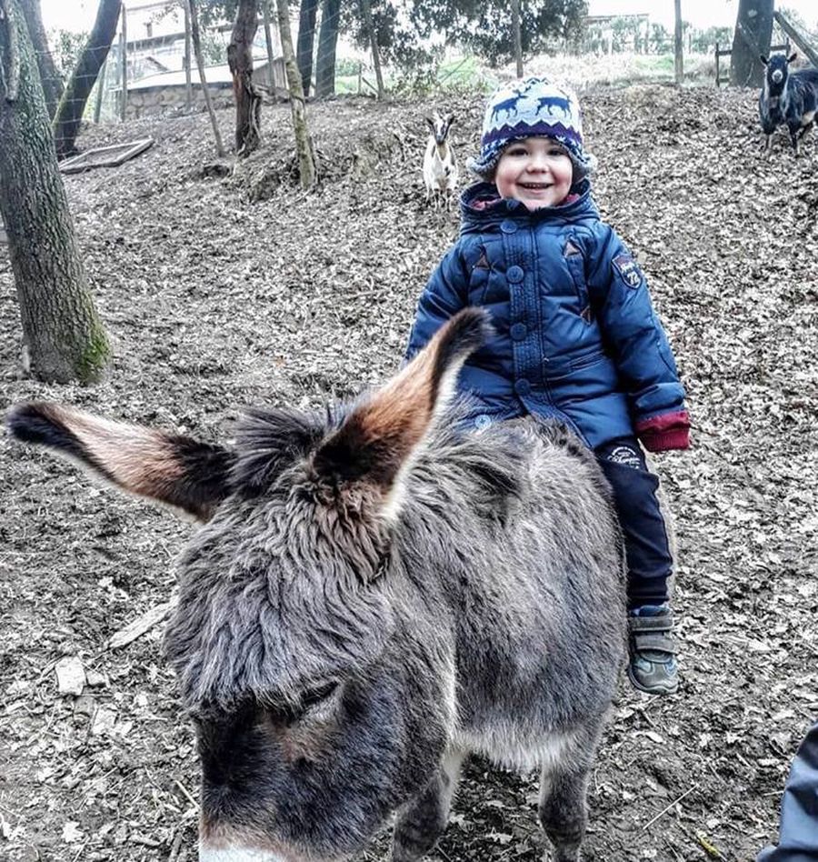passeggiata con asinello