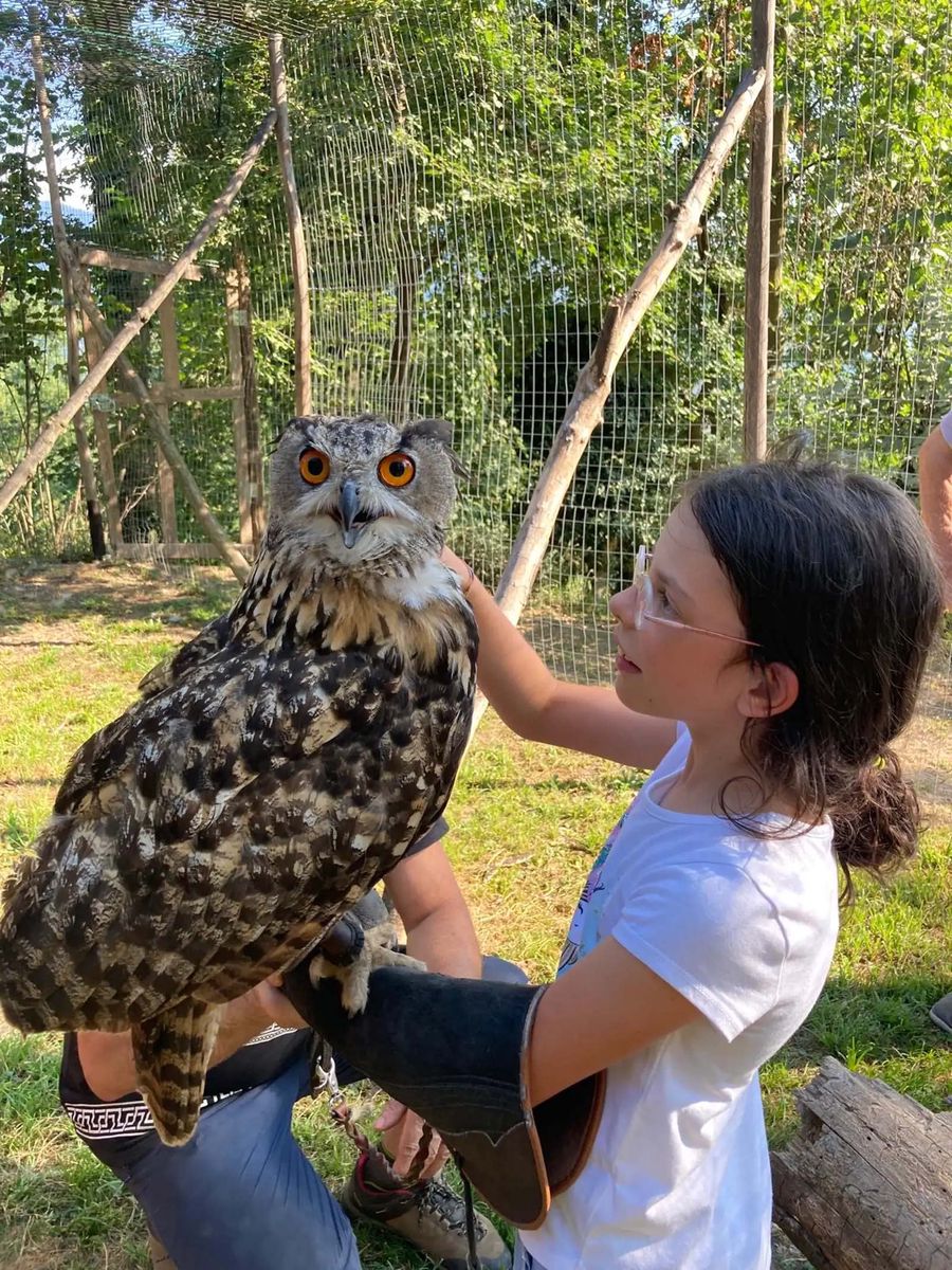 fattoria didattica con Rapaci