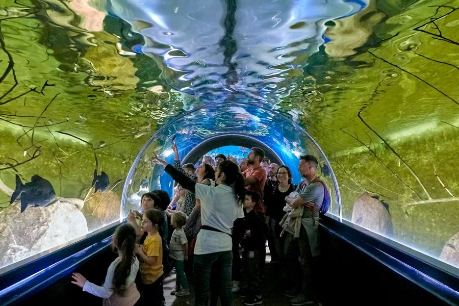 acquario a Sardegna in Miniatura