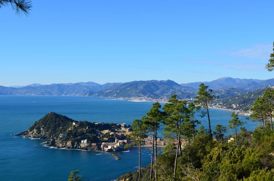 panorama sestri Levante