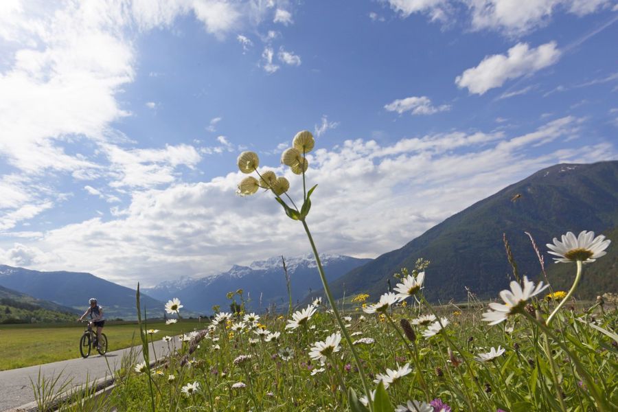 pista ciclabile della Val Venosta