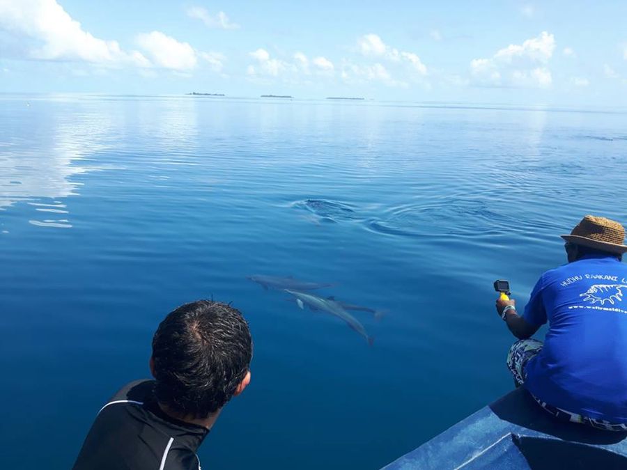 Cosa fare alle Maldive con i bambini