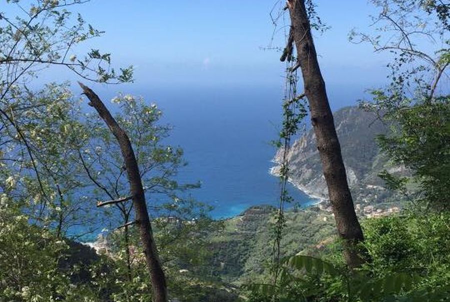 Trekking - Cinque Terre con i bambini