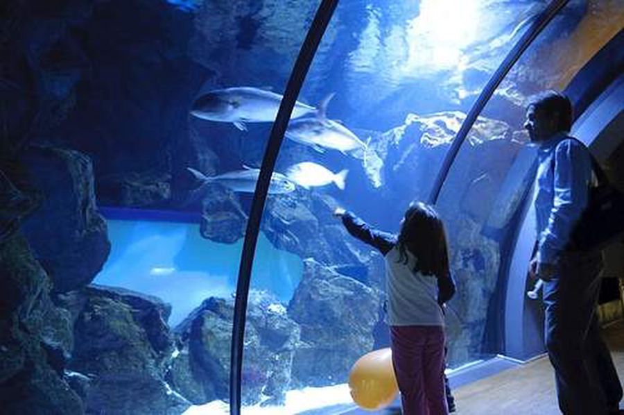 Milano, acquario civico a parco Sempione