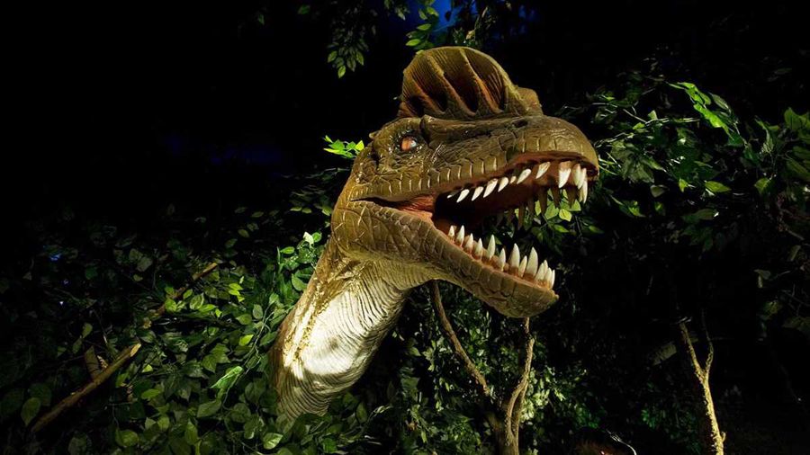 Zoomarine il Parco della Preistoria per bambini vicino a Roma