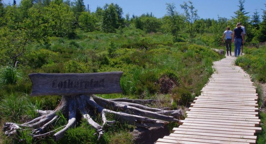 Lotharpfad - sentiero nella Foresta Nera con i bambini