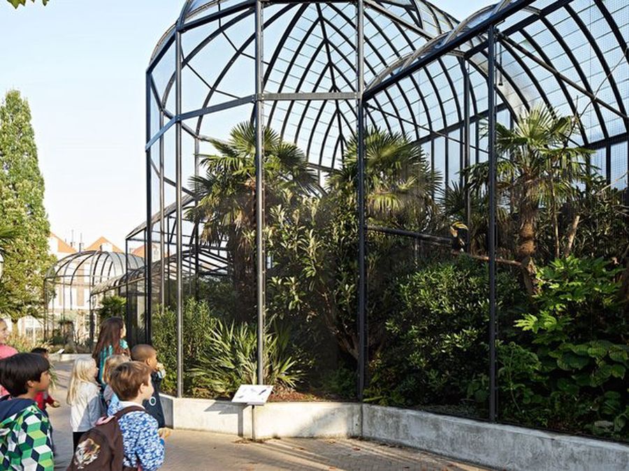 Artis Royal Zoo - Amsterdam con i bambini