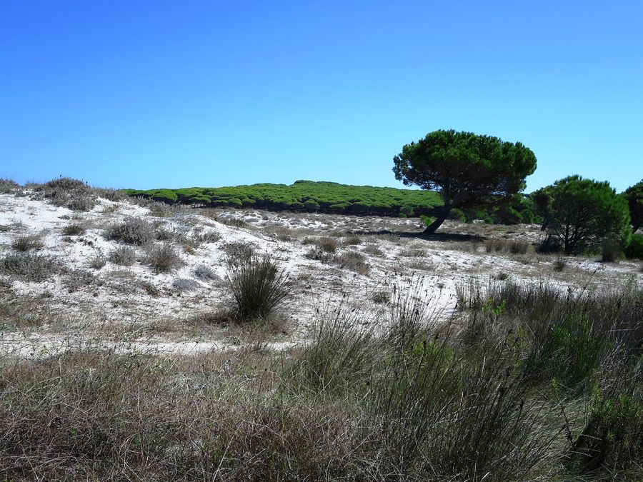 La spiaggia di Budoni in Sardegna