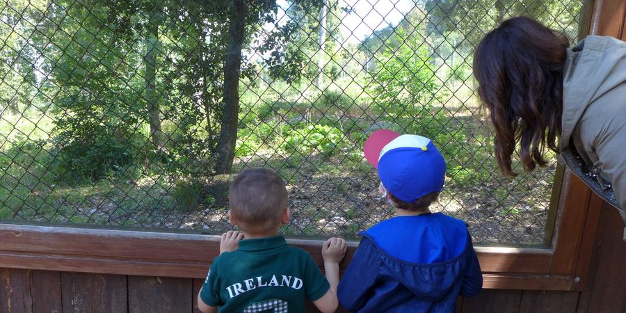 Centro visita lupi in Abruzzo
