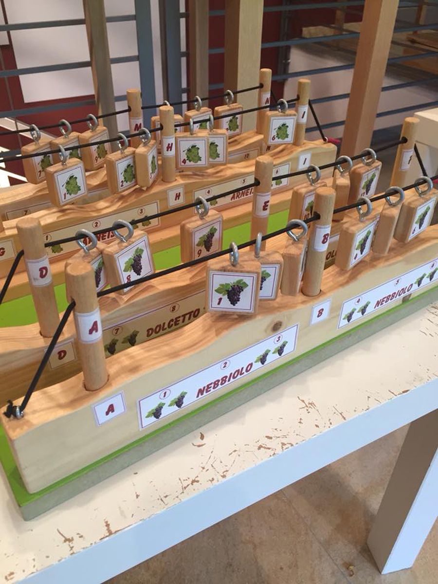 WiMu wine museum al castello di Barolo