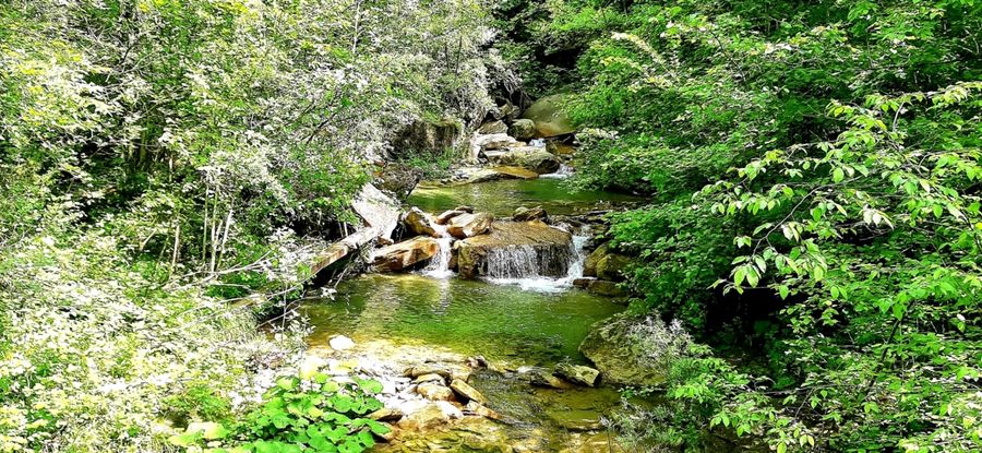 bellezza-natura-cascate