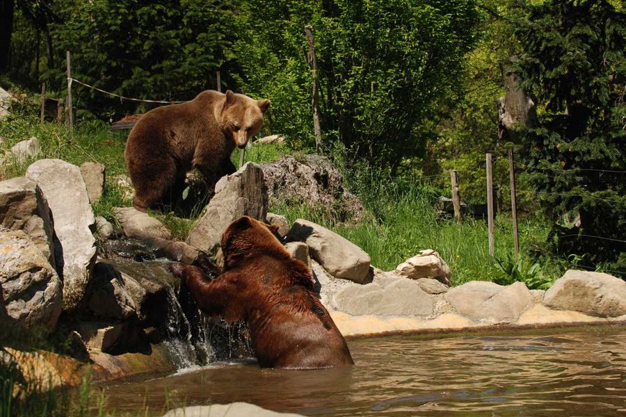 lo zoo di Pistoia con i bambini