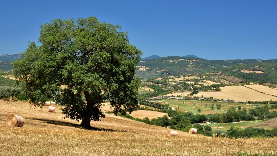 maremma toscana