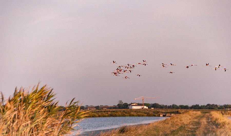 le saline di Cervia