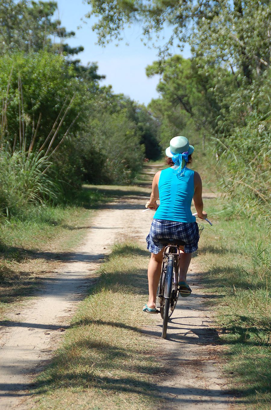 pineta di Lido di Savio