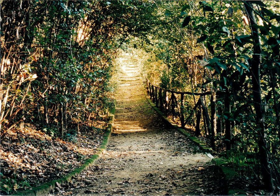 botanical garden entrance
