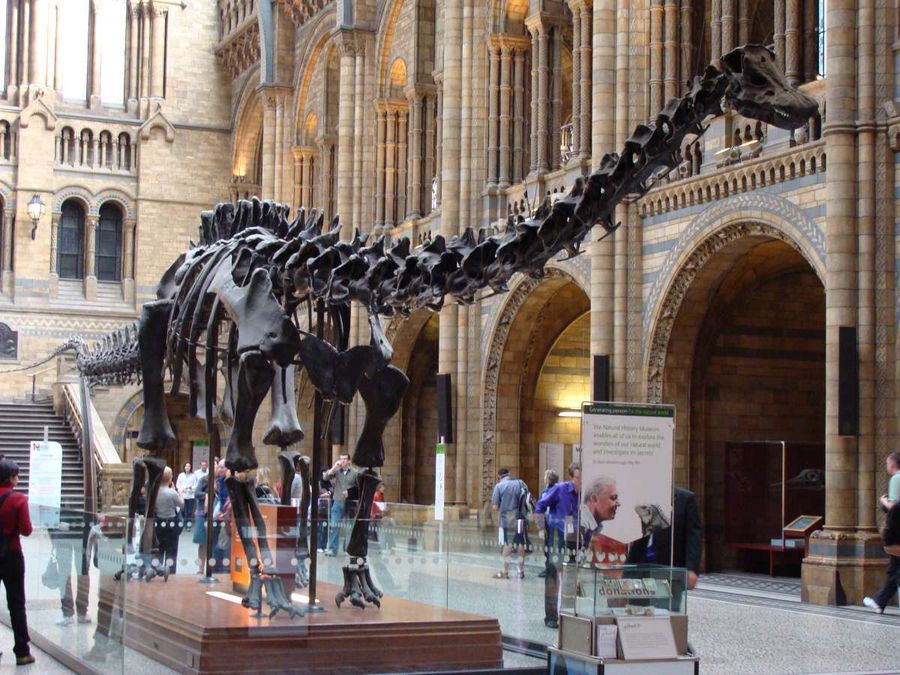 natural history museum a Londra per i bambini