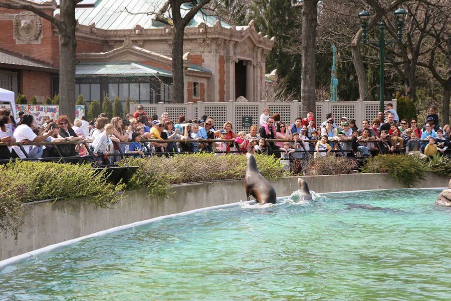 Lo zoo del Bronx con i bambini