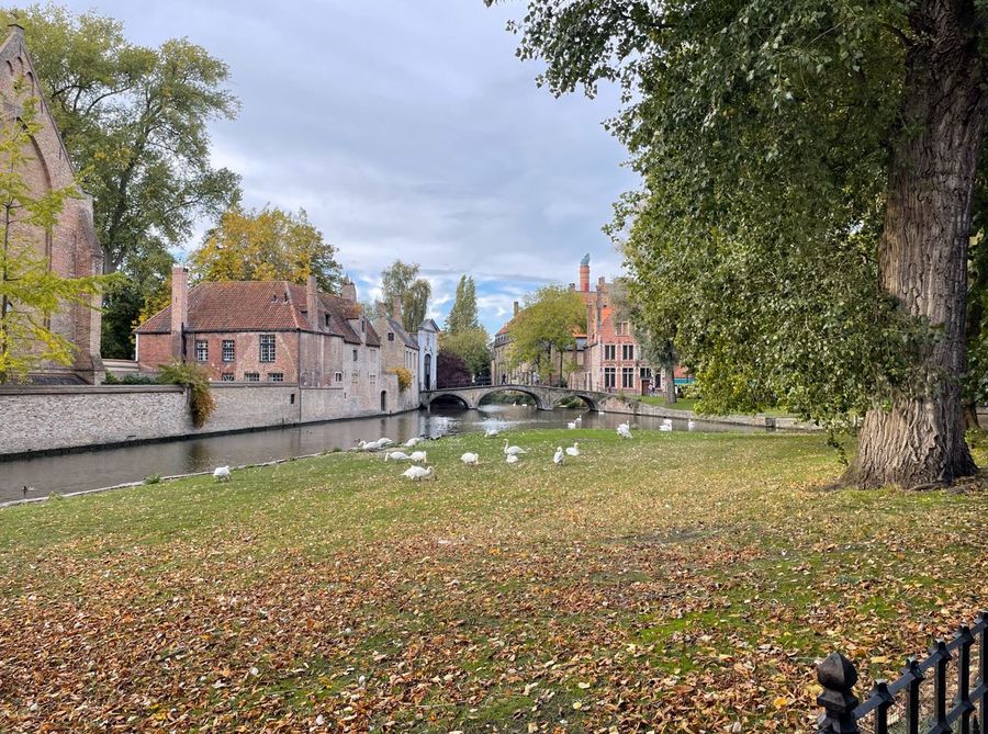 bruges-minnewater-con-i-bambini