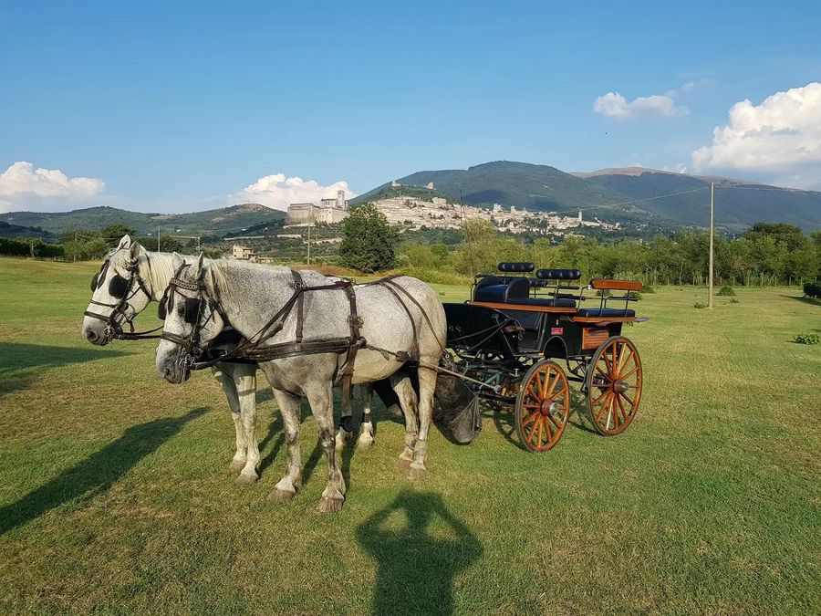 giro in carrozza assisi