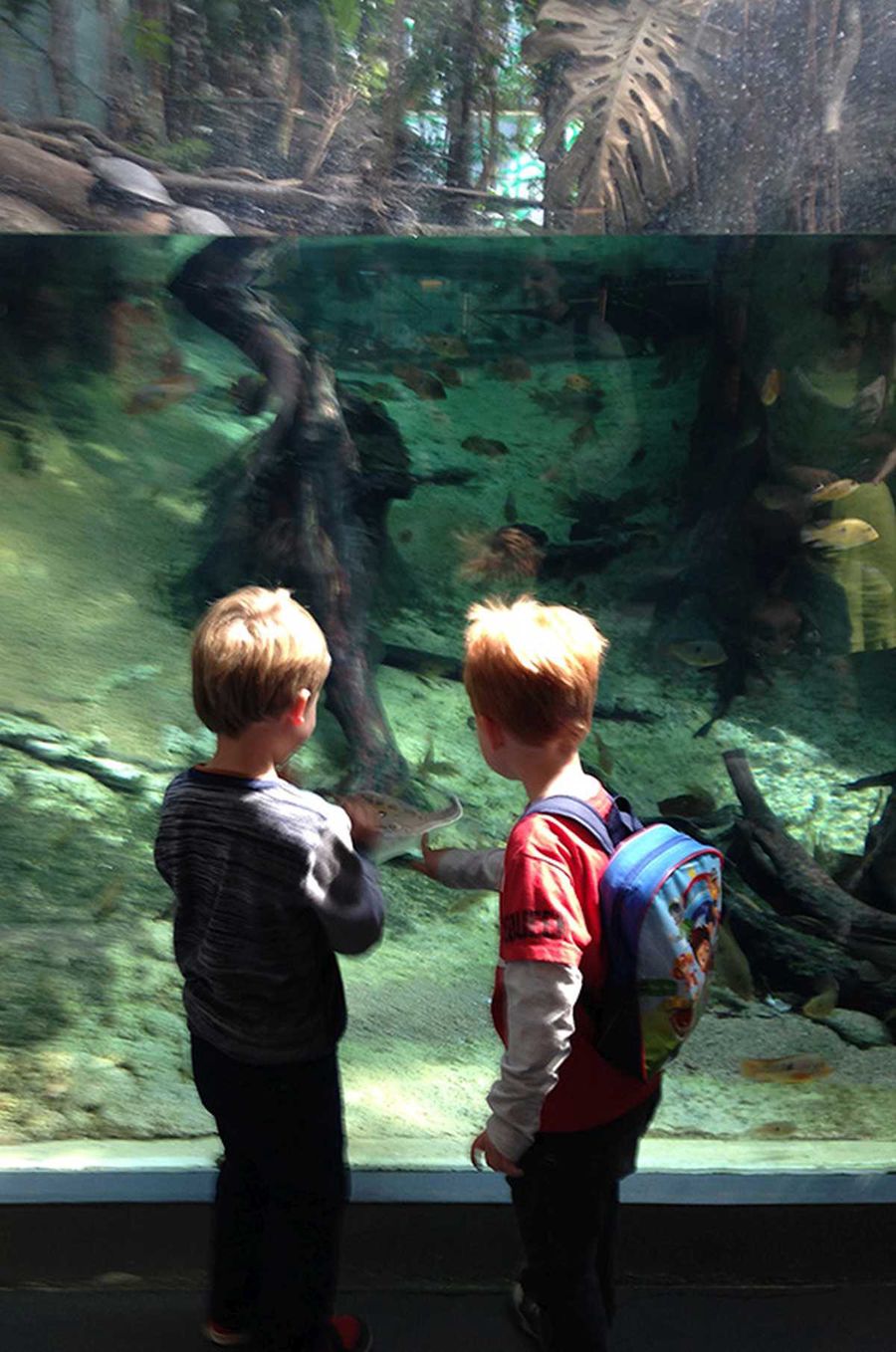 Barcellona con i bambini: il bosco inondato a CosmoCaixa