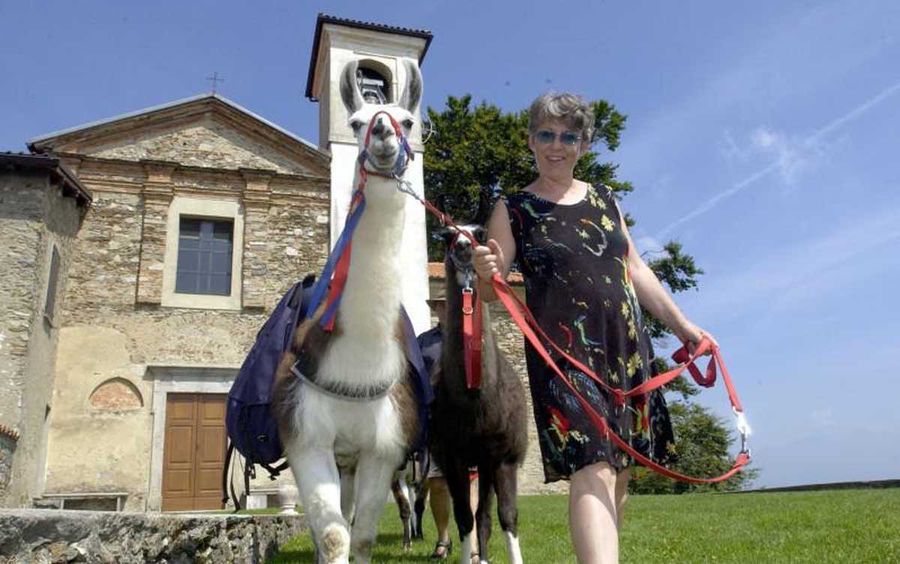 Lama trekking in Ticino meridionale con i bambini