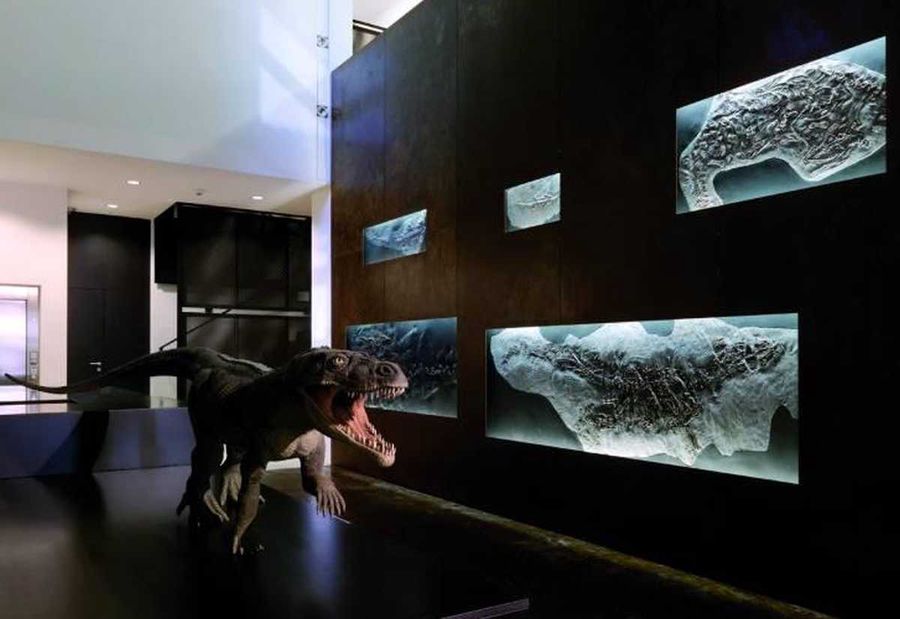  Museo dei fossili Monte San Giorgio