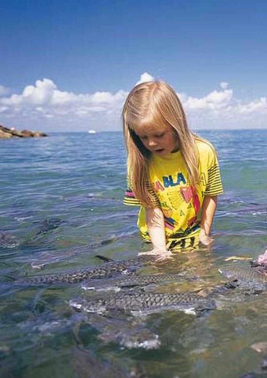 Pesci ad Aquascene - Australia con i bambini