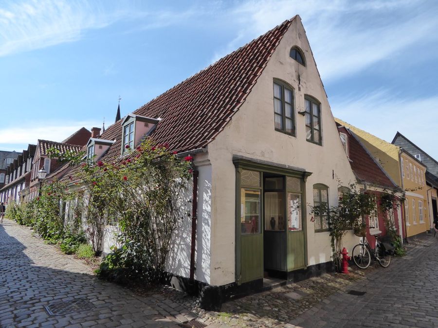 Ribe Danimarca stile vichingo