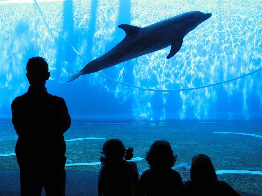 Acquario Village a Genova con i bambini