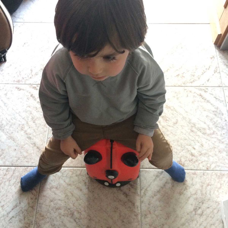 Valigie cavalcabili per i bambini