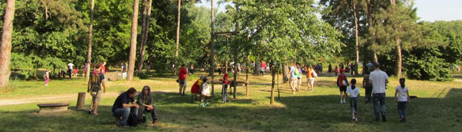 Picnic a  Mantova con i bambini nel Bosco Virgiliano e Parcobaleno