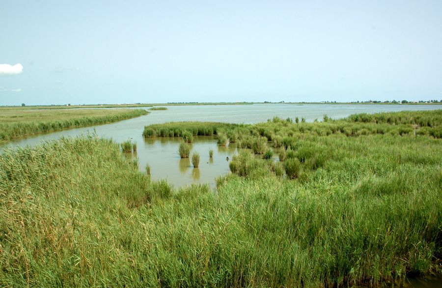 riserva naturale Delta del Ebre