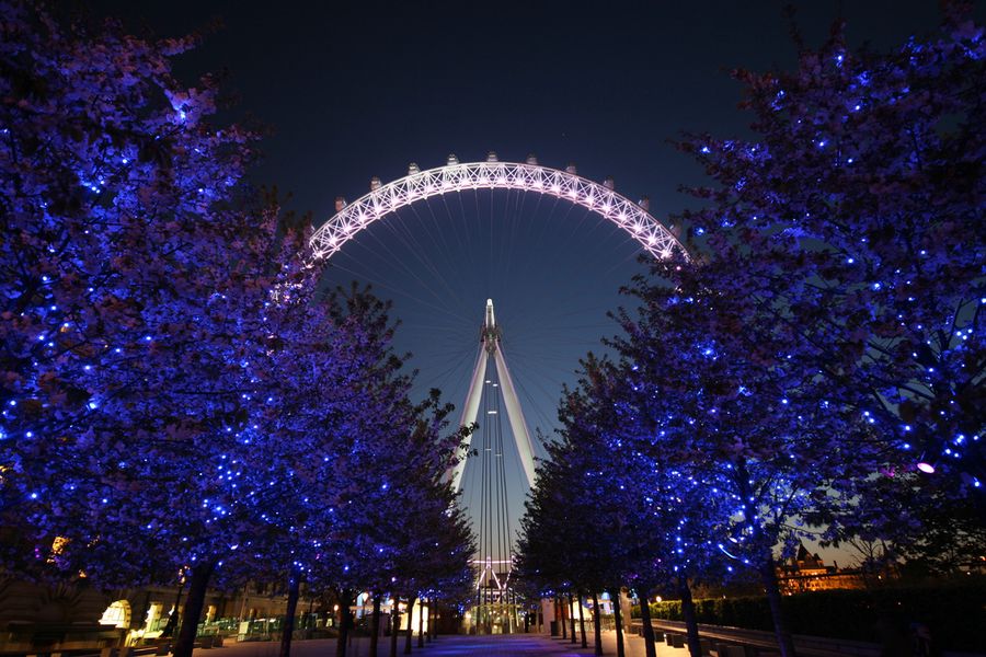 London eye con i bambini
