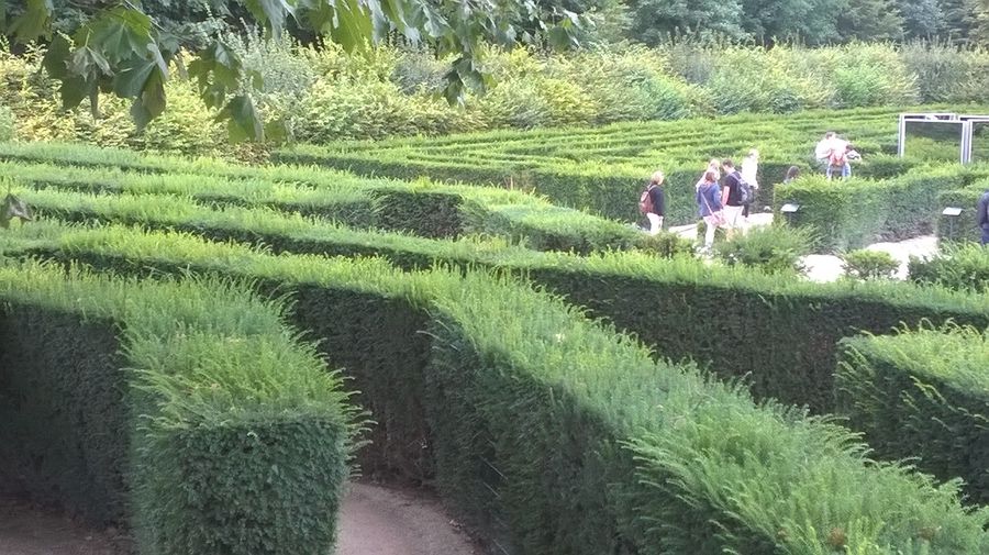 Labirinto Schonbrunn Vienna con le famiglie